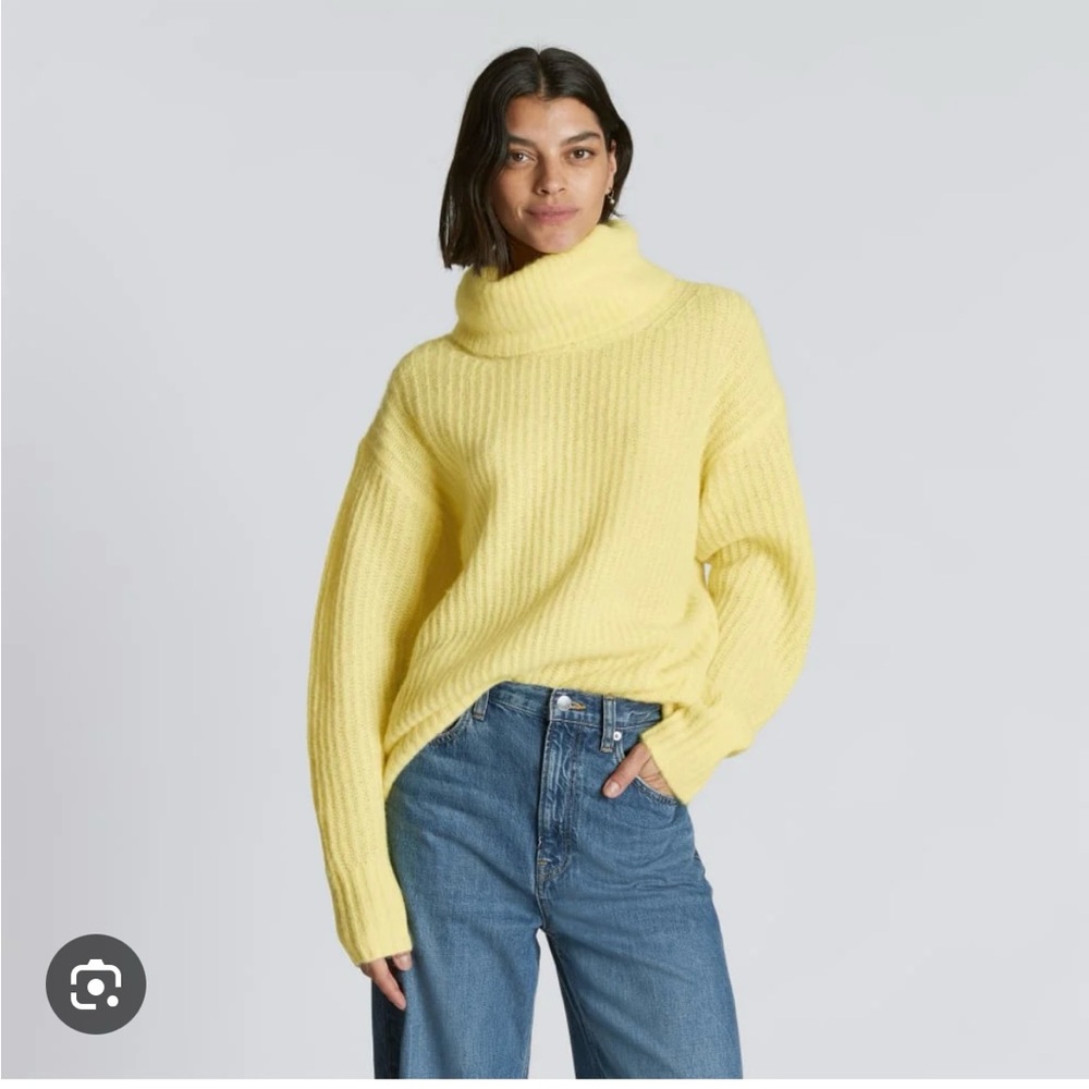 Everlane The Alpaca Oversized Turtleneck
